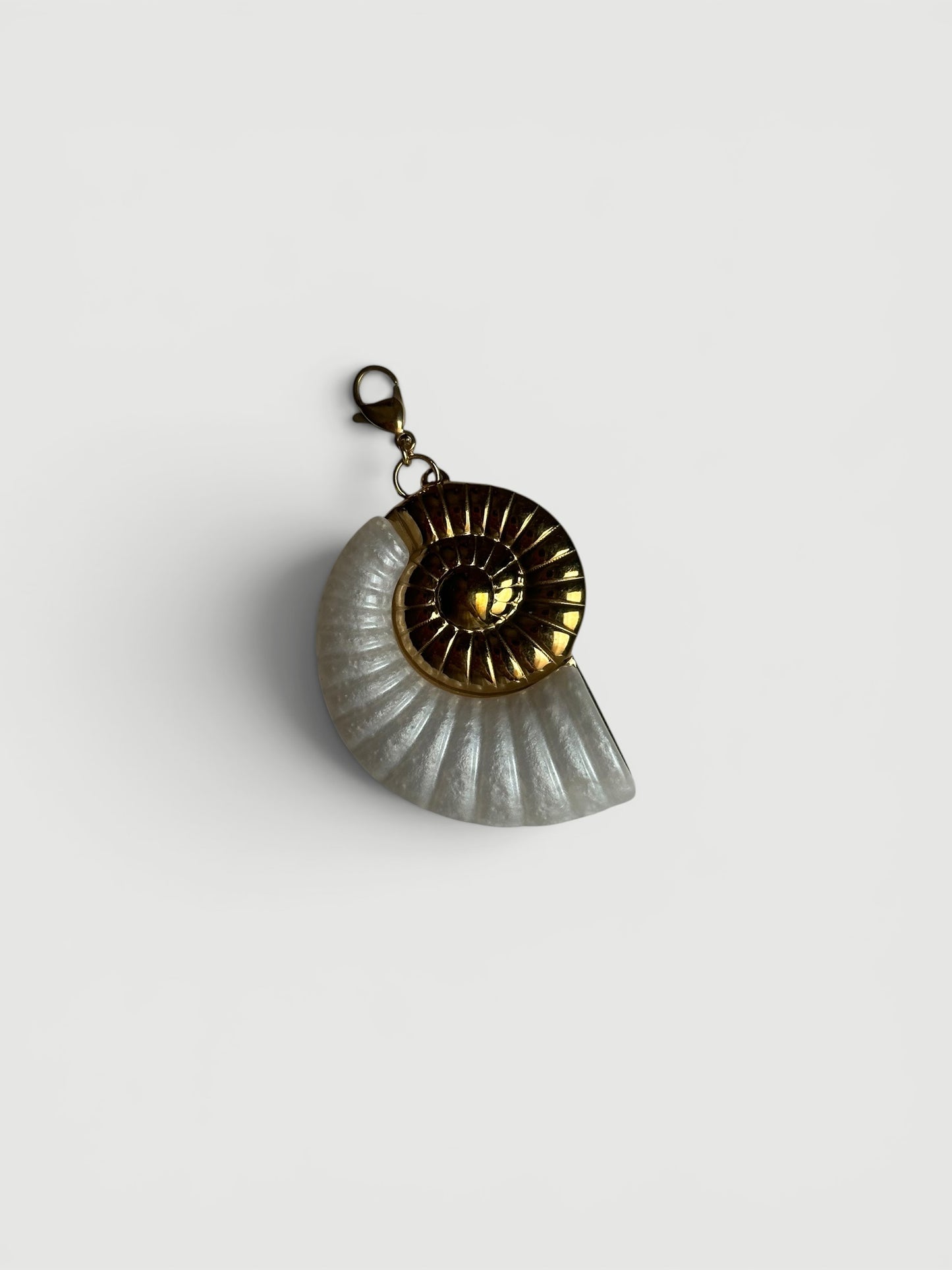 Caracola combinada