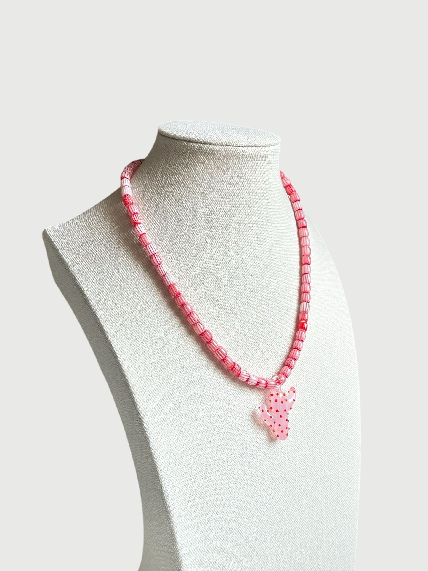 Cactus rosa