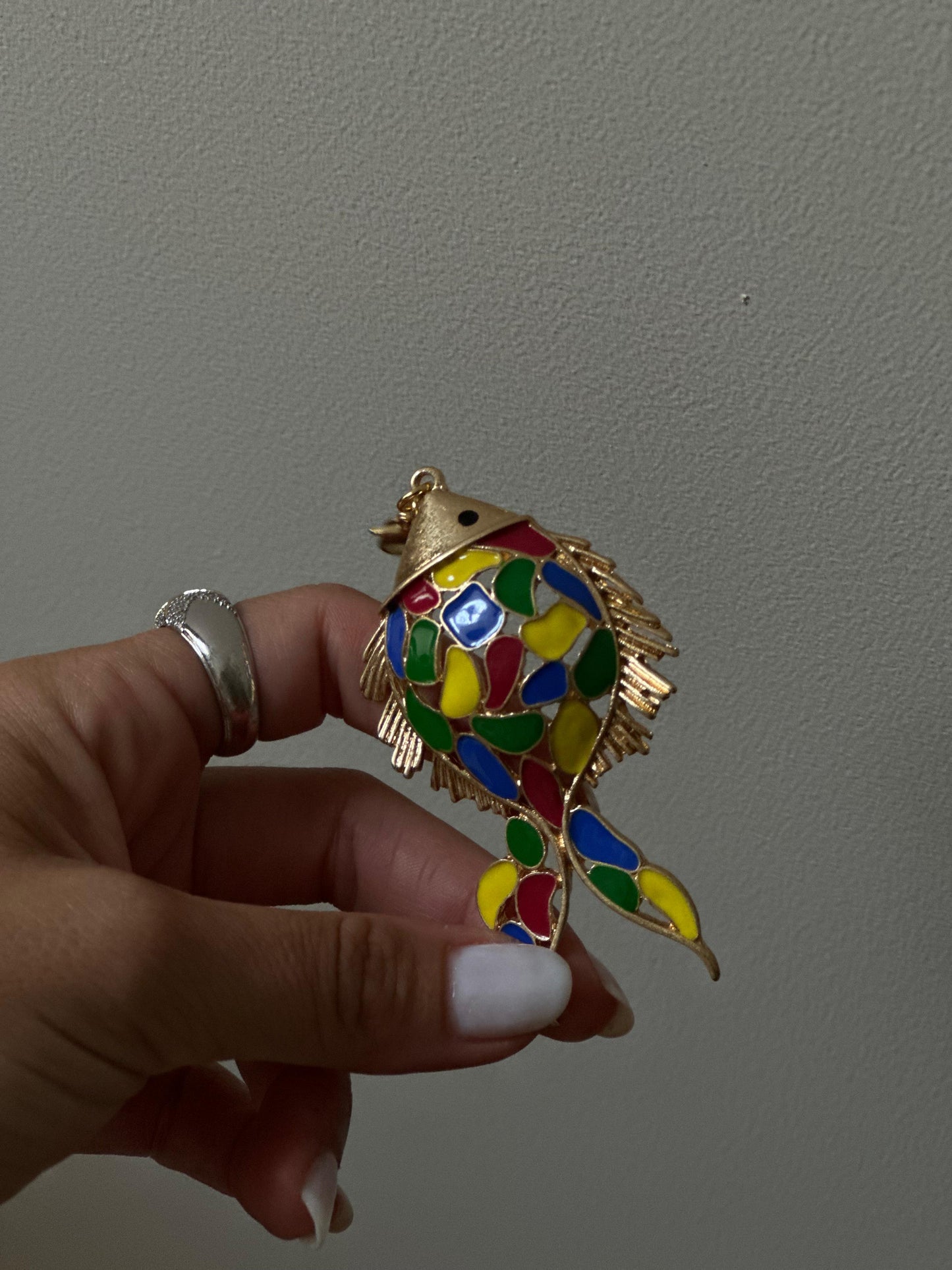 Charm pez multicolor