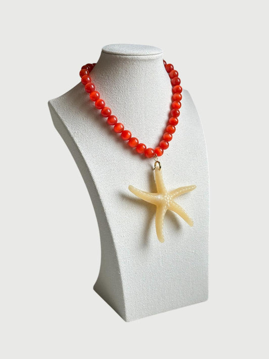 Estrella de mar naranja