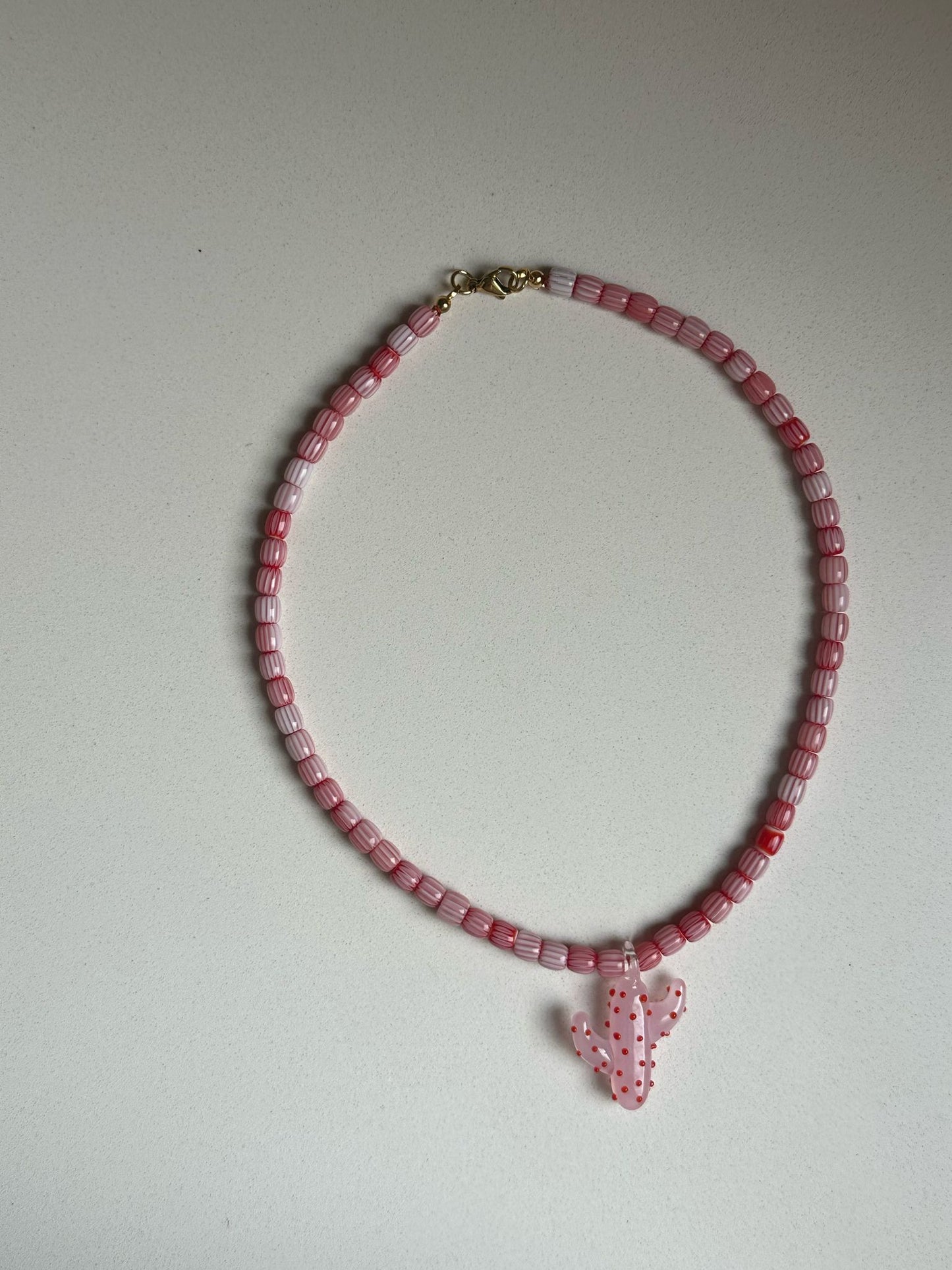 Cactus rosa