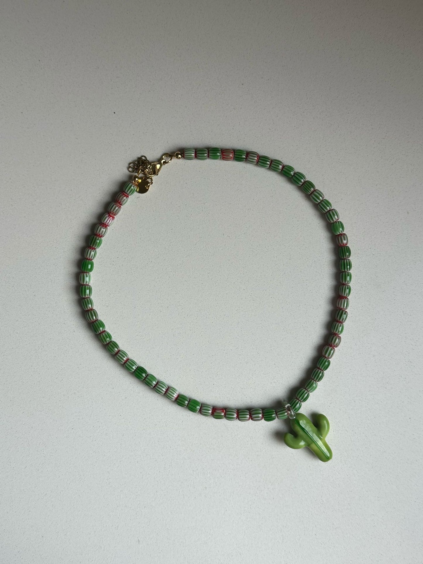 Cactus verde
