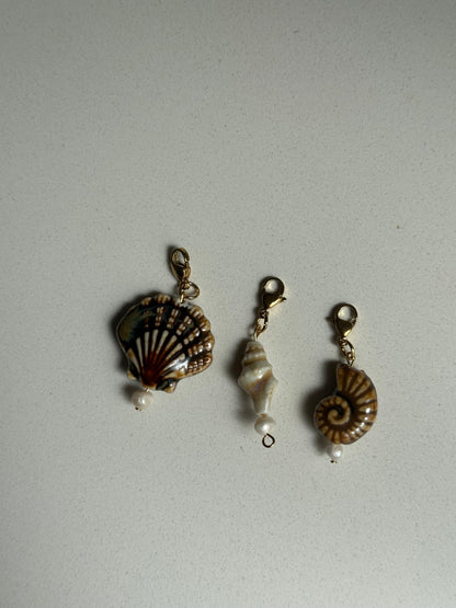 Charm conchas