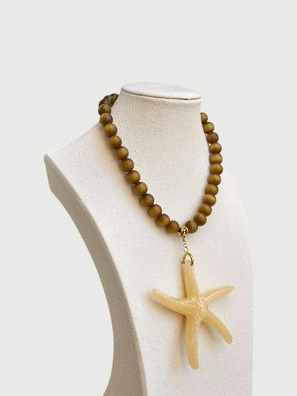 Estrella de mar marrón