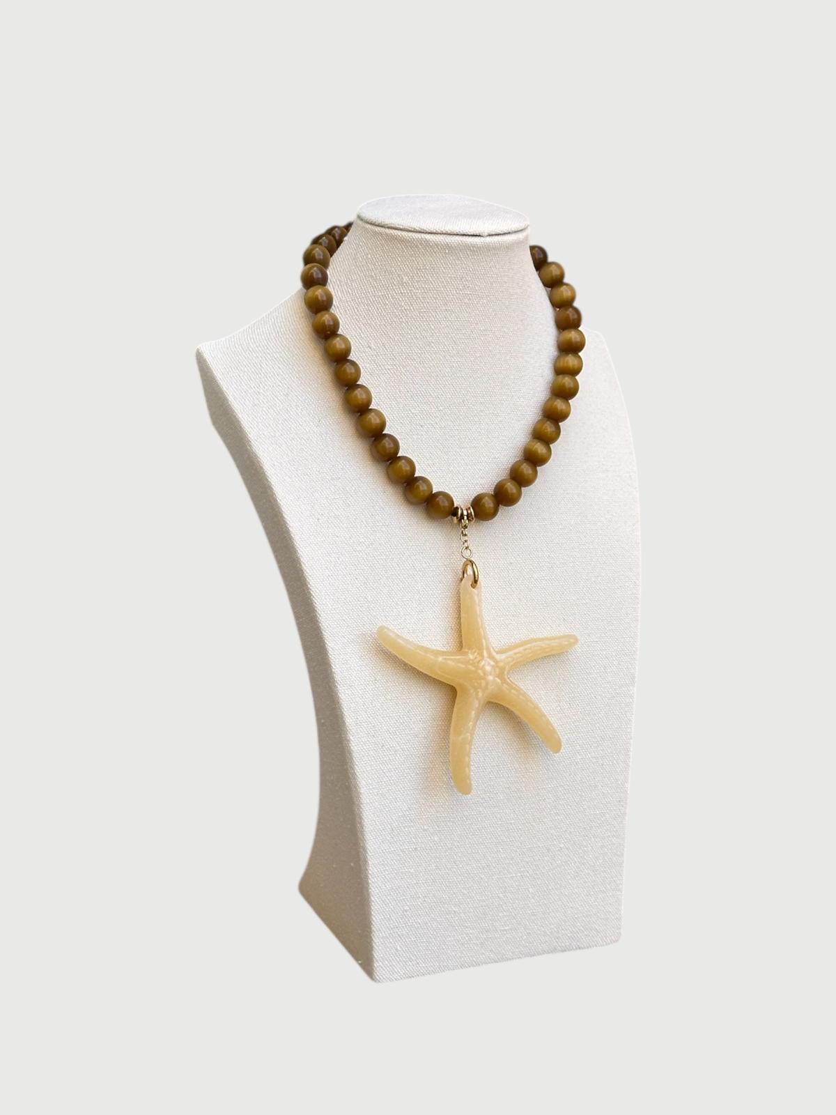 Estrella de mar marrón