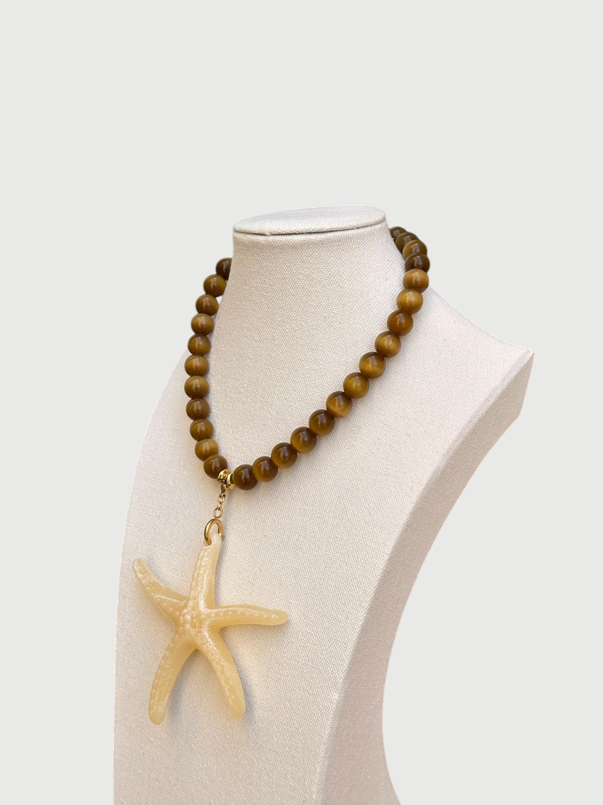 Estrella de mar marrón