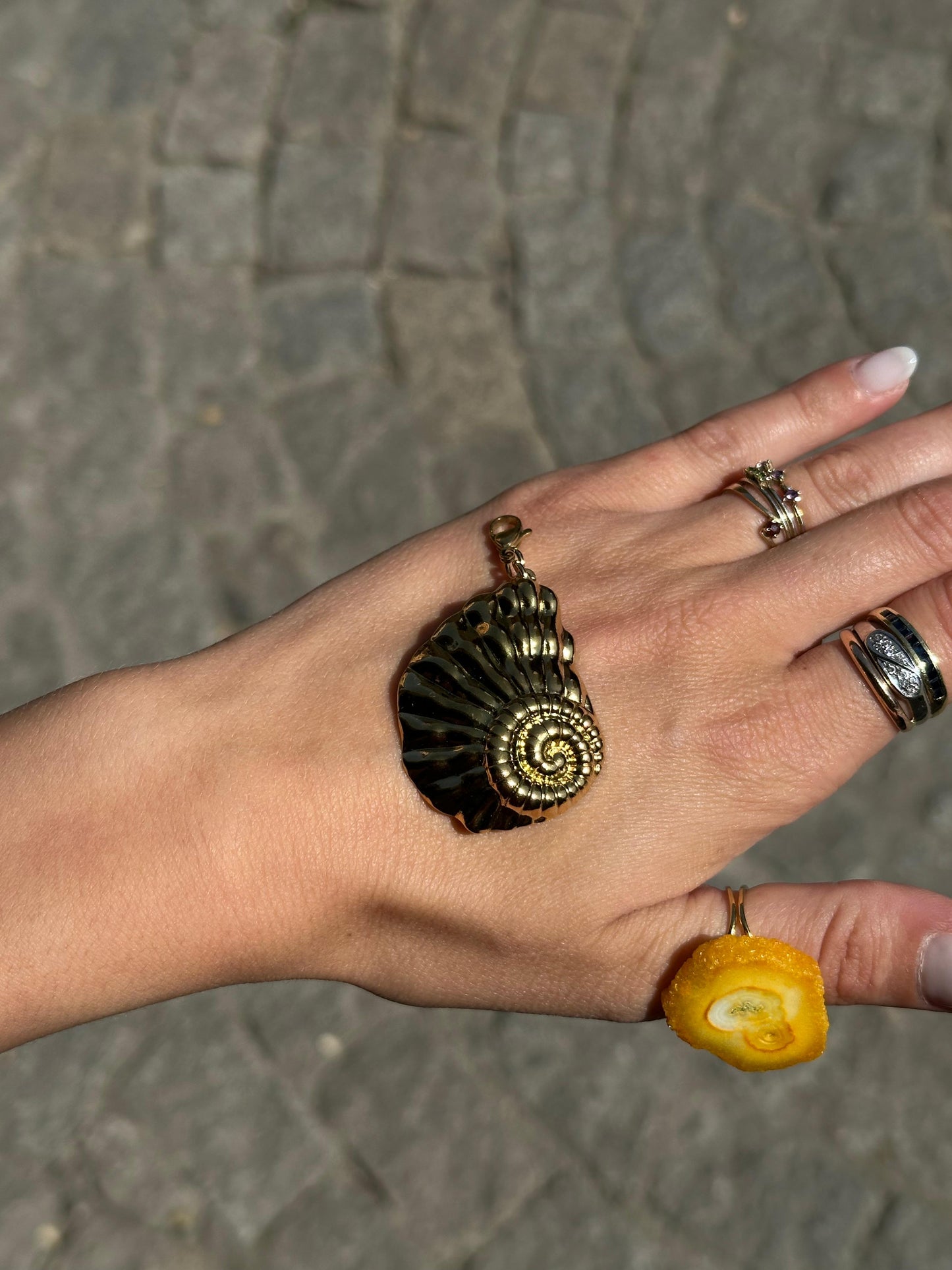 Caracola acero