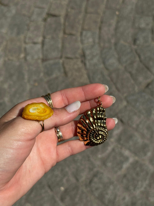 Caracola acero