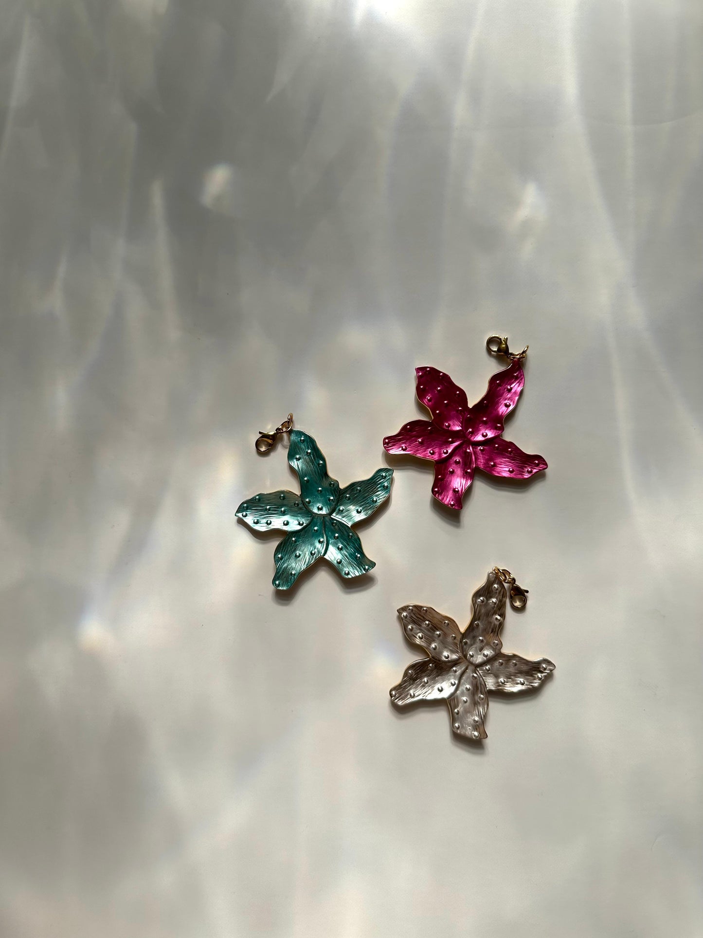 Gerbera plata