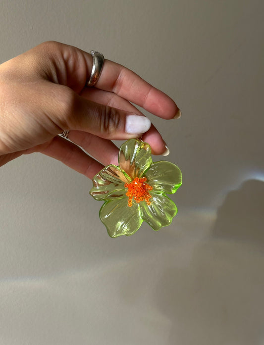 Camellia verda