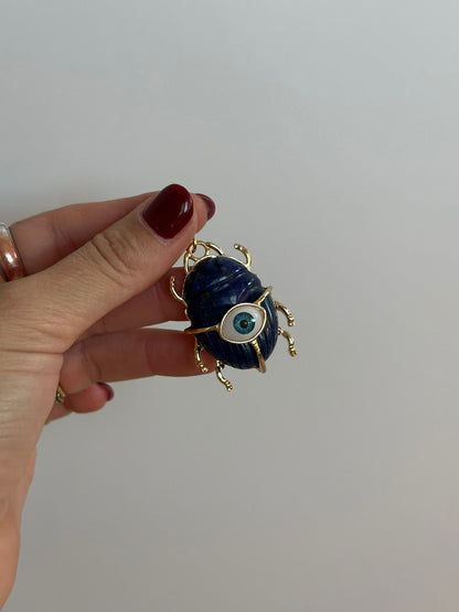 Escarabajo ojo